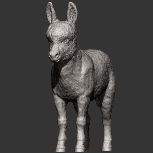 Donkey-baby6.jpg Modelo de impresión 3D de bebé burro