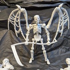 PXL_20240228_190812302.jpg Skeleton Action Figure