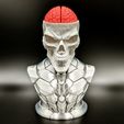 CraniumortisThumbnail.jpg Craniumortis - No AMS / Multi-Part Bust