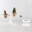 blossy_02.jpg Free STL file Blossy: Planter・Object to download and to 3D print