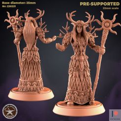 230221-Cenarion-Female-Druid.jpg 3D file Cenarion Elf Druid Female・3D print model to download