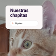Nuestras-chapitas.png Customizable Pet ID Tags – Personalized Safety for Your Furry Friend
