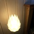 IMG_0055.jpeg Pine Cone Bedside Table Lamp Shade