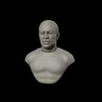 22.jpg Dr Dre Bust 3D print model