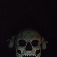 IMG-20211030-WA0010.jpeg Halloween skull mask