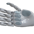 09.png Robotics Hand 2023