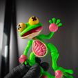 3-min.jpg Dissected Frog - Fridge magnet
