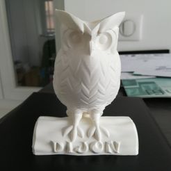 ChouetteV3Photo01.jpg STL file P'tite Owl (from Dijon)・3D print design to download, baboon