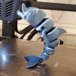 Симпатичный дельфин на флекси-принтере, j46da