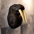 walrus-mouth-open-4.png walrus mouth open head wall mount STL