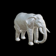 Capture-d’écran-2023-07-06-à-10.41.41.png elephant