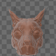 cabeza2.png Scan - dog's muscular system - head