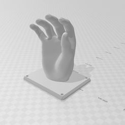 Pic1.jpg Free STL file Hand Key Holder・Template to download and 3D print