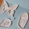 IMG_20210731_173749.jpg Monarch butterfly cycle set of 4 cookie cutters