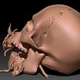 skull-3d-model-obj-stl-ztl-5.jpg Skull 3D print model