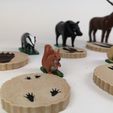 IMG_20201120_132227.jpg Educational realistic forest animals