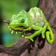 TQuadricornisPosterSzene0002.jpg Southern four-horned chameleon Triocerus quadricornis file with full-size texture STL 3D print high polygon - modeled in Zbrush with tree/branch