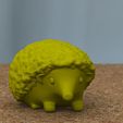 hedgehog_02.jpg STL file hedgehog・3D print object to download