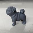 903C6C2C-03DB-4FF6-828C-8C021FE67D6D.jpeg Pregunta Pug Modelo de impresión en 3D