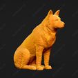 464-Australian_Cattle_Dog_Pose_04.jpg Australian Cattle Dog 3D Print Model Pose 04