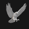 Flying-Eagle-with-Open-Wings-EWR2-Preview2.png Flying Eagle with Open Wings EWR2