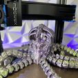 zzzz.jpg Octopus Skeleton Articulated Flexi Toy