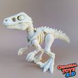 1.jpg Velociraptor Skeleton Articulated/Flexi