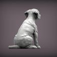 puppy-rhodesian-ridgeback-sitting15.jpg Puppy rhodesian ridgeback sitting 3D print model