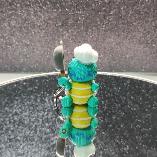 IMG_20241104_192532.jpg La tortuga chef (llavero)