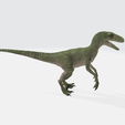 1.png Velociraptor