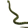 0_00113.jpg DOWNLOAD ANACONDA 3d model - animated for blender-fbx-unity-maya-unreal-c4d-3ds max - and 3D printing ANACONDA VIPER SNAKE PYTHON COBRA PITON BASILIK BOA