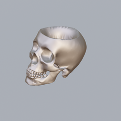 1.png Skull Planter 3D Print Stl File