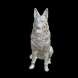 Capture-d’écran-2023-07-12-à-11.27.57.png dog German shepherd