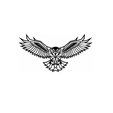 Águila.png Minimalist Geometric Eagle Painting