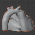 8.png 3D Model of Heart (2.3.4.5 chamber view) - 4 pack