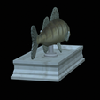 zander-statue-4-open-mouth-1-10.png fish zander / pikeperch / Sander lucioperca  open mouth statue detailed texture for 3d printing