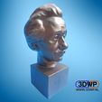 Albert_Einstein_Bust.jpg Albert Einstein Bust 3D Scan