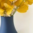 2023-11-04-13.25.15.jpg Drop vase