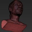 snoop-dogg-bust-ready-for-full-color-3d-printing-3d-model-obj-mtl-fbx-stl-wrl-wrz (41).jpg STL file Snoop Dogg bust ready for full color 3D printing・Template to download and 3D print, PrintedReality
