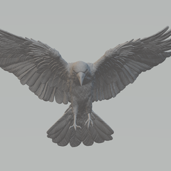 1.png Fichier STL Modèle d'impression 3D de corbeau・Plan pour imprimante 3D à télécharger