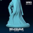 13.jpg Girl Frost Wizard Normal and Nude 3D print model