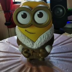 IMG_20230518_154724-5733.jpg STL file minion snow suit・3D print design to download