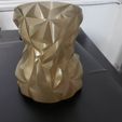 20190913_174631.jpg Free STL file Rounded Faceted Vase・3D printer design to download
