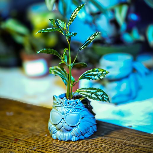 ERL02748.jpg Dungeon Crawler Carl Prinzessin Donut Pflanzer STL