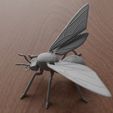 05.jpg Winged Ant
