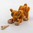 3.jpg Flexi Simba