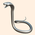 7.png King Cobra Snake