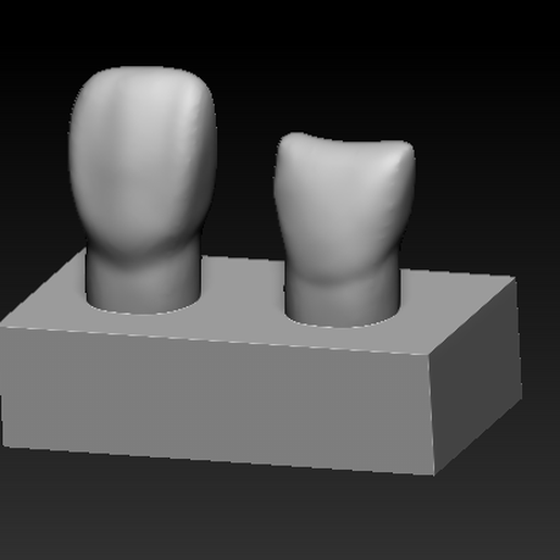 training model central incisor 3D model