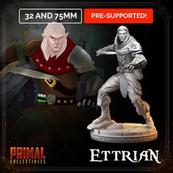 720X720-ettrian-mmf.jpg Archivo 3D Elf - Ettrian (HeroQuest | Dungeons&Dragons)・Diseño de impresión en 3D para descargar