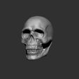 skull.jpg Human Skull miniature FREE